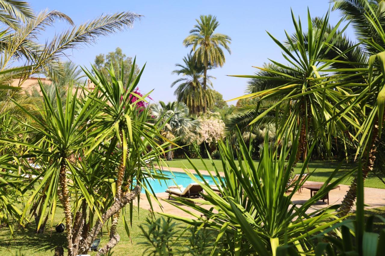 Villa Le Perroquet Bleu Marrakesh Exterior photo